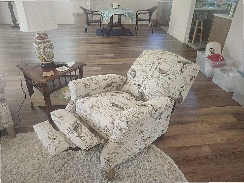 Pair Beige Bird Pattern Upholstered Fabric Recliners Chair w/ Arms, Padded Seat